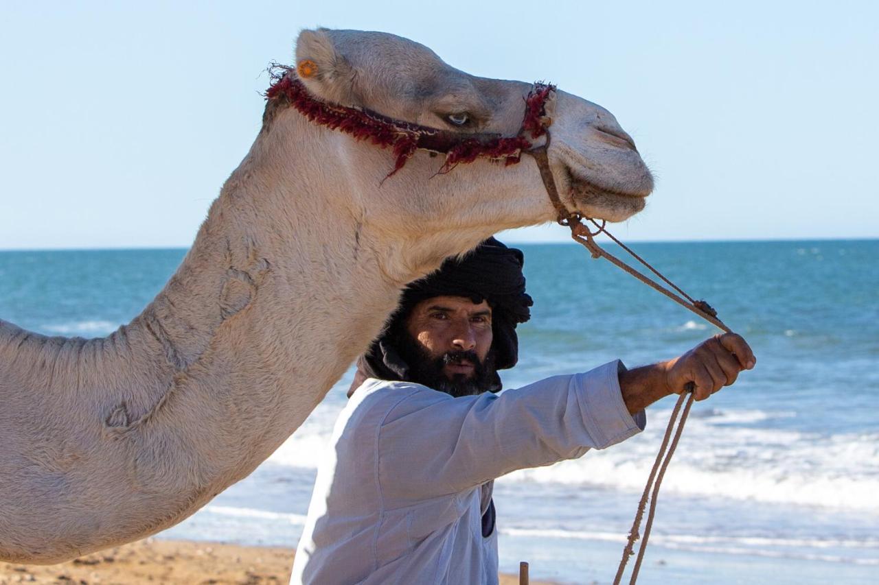 Sunshine Surf Morocco Panzió Tamraght Kültér fotó